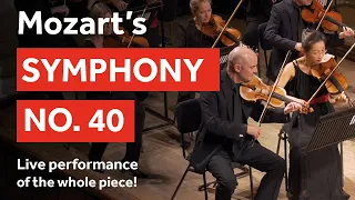 Mozart's Symphony No. 40 – performed live by the London Mozart Players (whole piece)