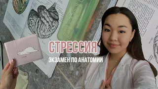 СтрЕССИЯ | экзамен по анатомии | 2 курс ОмГМУ #студентмедик