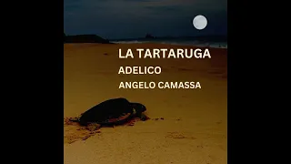 La Tartaruga - Adelico & Angelo Camassa