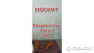 рецепт ГОРБУША ХОЛОДНОГО КОПЧЕНИЯ В КОПТИЛЬНЕ МОСКИТ Алексей Краснов г.Владивосток