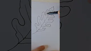 Come disegnare una foglia di quercia