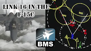 NEW Link 16 Data Link Tutorial | F-15C Falcon BMS