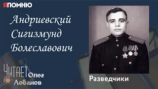 Андриевский Сигизмунд Болеславович. Проект "Я помню" Артема Драбкина. Разведчики.