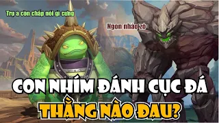 THROWTHI LẤY NHÍM CHỌI ĐÁ - NHÍM ĐÁNH ĐÁ ĐAU HAY NHÍM ĐAU?