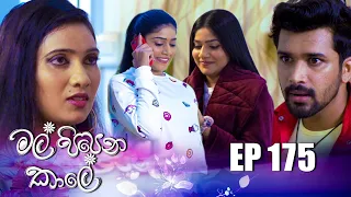 Mal Pipena Kaale | Episode 175  06th June 2022