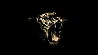 El Tigr3 - The Beast Within