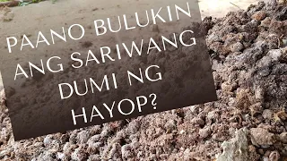 Paano Bulukin ang Sariwang Dumi ng Hayop?