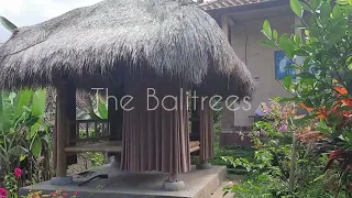 Welcome To Balitrees Retreats  - The Balitrees