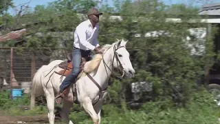 Fort Worth man teaching others about the Black cowboy culture