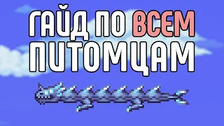 Гайд по ВСЕМ питомцам | Terraria 1.4