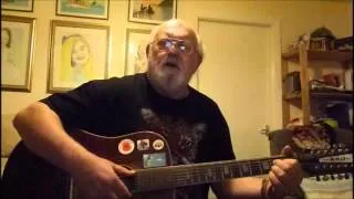 12-string Guitar: Mr Noah (Including lyrics and chords)