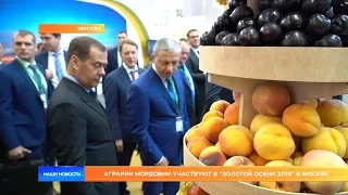 Аграрии Мордовии участвуют во всероссийской выставке "Золотая осень 2019"