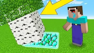 Minecraft Battle - NOOB vs PRO : HOW NOOB FOUND TREASURE UNDER TREE ? (Animation)