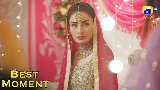 Pyari Nimmo Episode 16 | 𝐁𝐞𝐬𝐭 𝐌𝐨𝐦𝐞𝐧𝐭 𝟎𝟑 | Hira Khan - Haris Waheed - Asim Mehmood | Har Pal Geo