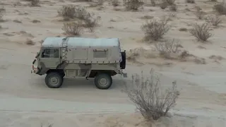 Pinzgauer in the desert