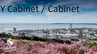 Swansea Council - Special Cabinet  30 July 2020
