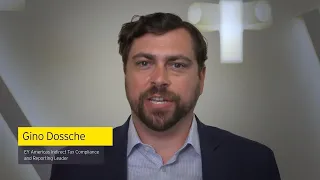 Gino Dossche, EY's Americas Indirect Tax Compliance and Reporting Leader, discusses indirect tax com