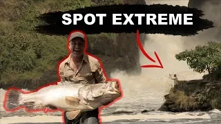 ÉNORME PERCHE DU NIL et CROCODILES dans un SPOT EXTREME ! - Cyril Chauquet