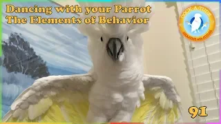 Dancing with Parrots | Ep.91: Use ABA to Fix Problem Behaviours | Cockatude: Cockatoos with Attitude