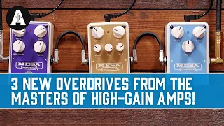 Pete Unleashed His Inner Van Halen with Mesa Boogie's New Overdrive Pedals!