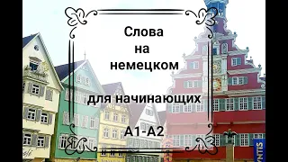 Слова на немецком для начинающих. Немецкий для уровней А1-А2