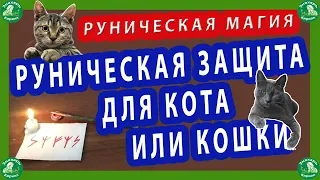 РУНИЧЕСКАЯ МАГИЯ | РУНИЧЕСКАЯ ЗАЩИТА ДЛЯ КОТА ИЛИ КОШКИ.🐈☮☸