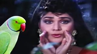 Tota Mere Tota FULL CHIRANJEEVI MUSIC VIDEO | Meenakshi Sheshadri Dance | Aaj Ka Goonda Raaj Songs