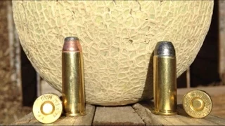 .44 Magnum vs .44 Special