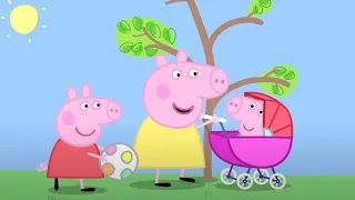 Heo Peppa | Em bé heo | Tập đầy đủ | Heo Peppa Tiếng Việt | Phim Hoạt Hình