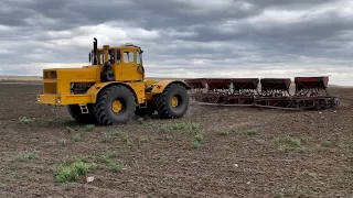 Кировец К-700. Сев озимой пшеницы