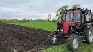 Кайфуємо від посадки картопель❗️Пізнє саджіння картопель// МТЗ та Bomet