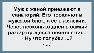 Муж и Жена поехали на Отдых ...! Сборник Самых Веселых Свежих и Смешных Анекдотов!