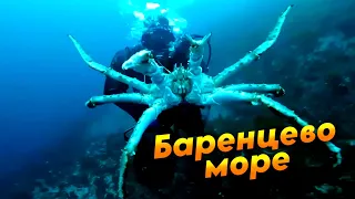 Пир на Баренцевом море. Северные деликатесы