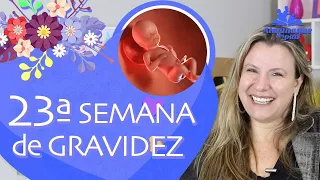 23ª SEMANA DE GESTAÇÃO | Dor no Pé da Barriga, Vídeo do Bebê, Contrações | 2º TRIMESTRE DE GRAVIDEZ