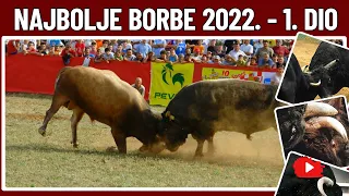 NAJBOLJE BORBE BIKOVA IZ 2022. GODINE - 1. DIO