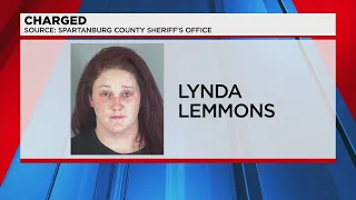 Woman charged after allegedly stabbing boyfriend