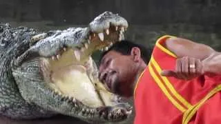 Man Puts his Head in Crocodile's Mouth Again