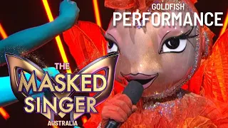 Goldfish's Sam Feldt Performance | The Masked Singer Australia