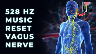 528 Hz Healing Frequency Calm Nervous System | Vagal Tone: Vagus Nerve Healing Sleep Music