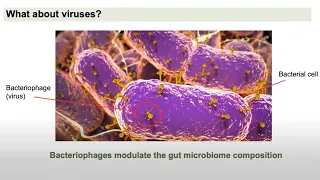 Hidden Secrets of the Human Microbiome