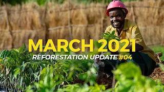 Planting Trees to Empower Communities in Malawi | Reforestation Updates | One Tree Planted