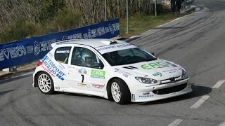 Best of rally 2015 Kit Car Peugeot 206 S1600 show pure sound 2000 - 2015