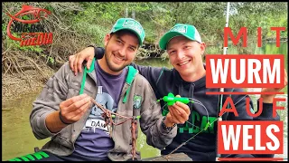 Waller-Angeln in Deutschland: Mit Tauwürmern auf Wels am Fluss | Gregor trifft die Profis