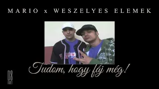 MARIO x Weszélyes Elemek - Tudom hogy fáj még / Official Audio