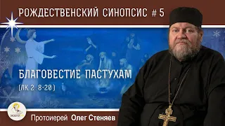 Рождественский синопсис #5.  Благовестие пастухам (Лк. 2:8-20).  Протоиерей Олег Стеняев