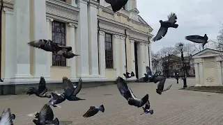 Одесса, 6 марта 2022г. Воскресенье.