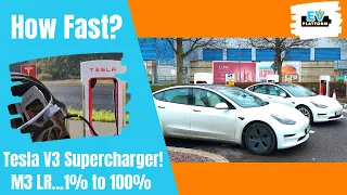V3 Supercharger Test | Tesla Model 3 Long Range | How Fast will it go?