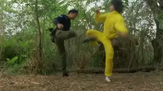 Best Of Jackie Chan (Tribute)