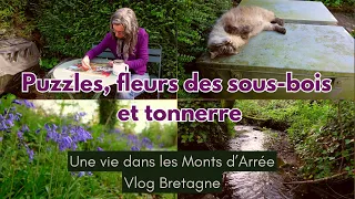 Puzzles, fleurs des sous-bois et tonnerre ! - Une vie dans les monts d'Arrée