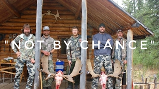 "Not By Chance" - Moose Hunting In British Columbia With Psc Outdoors